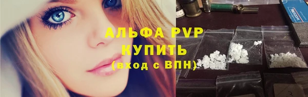 амф Богданович