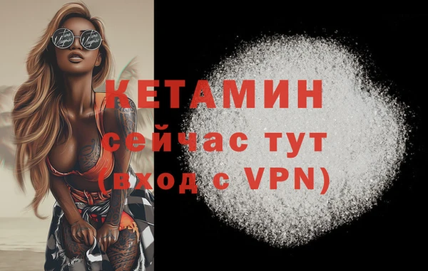 амф Богданович