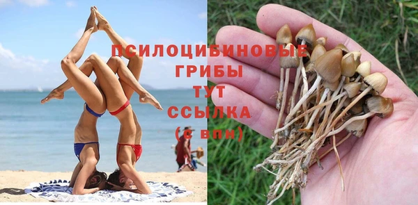 амф Богданович