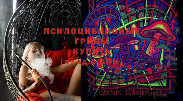 амф Богданович
