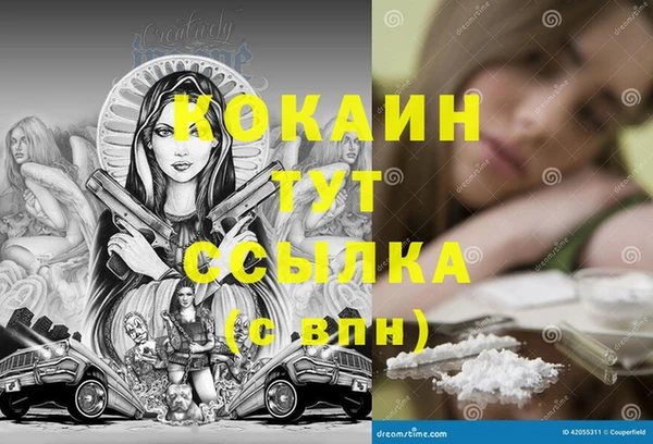 амф Богданович
