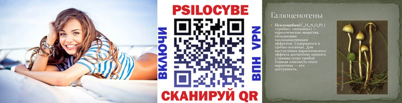 купить наркотики сайты  Брянск  Галлюциногенные грибы Cubensis 